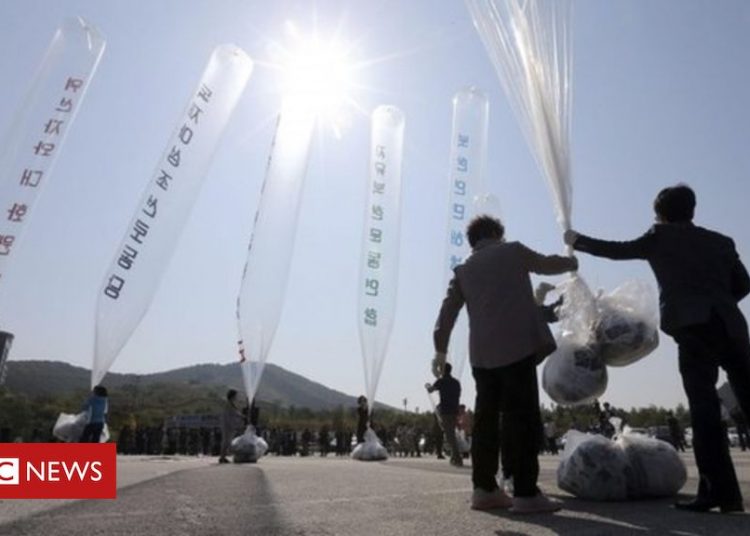 South Korea plans to stop balloons to North Korea