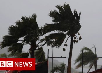 Hurricane Laura hits Louisiana – BBC News